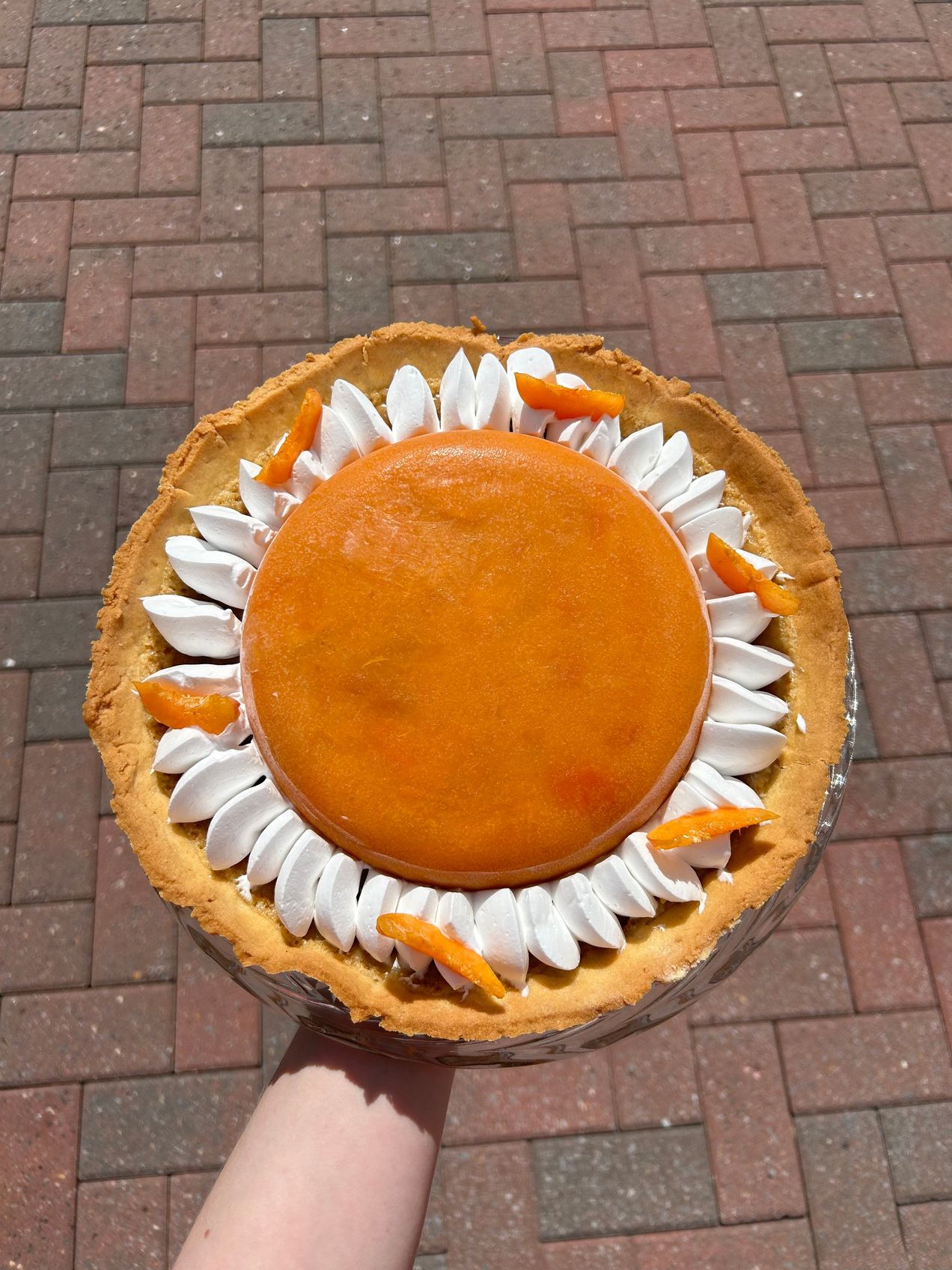 Tarte aux abricots et au romarin
