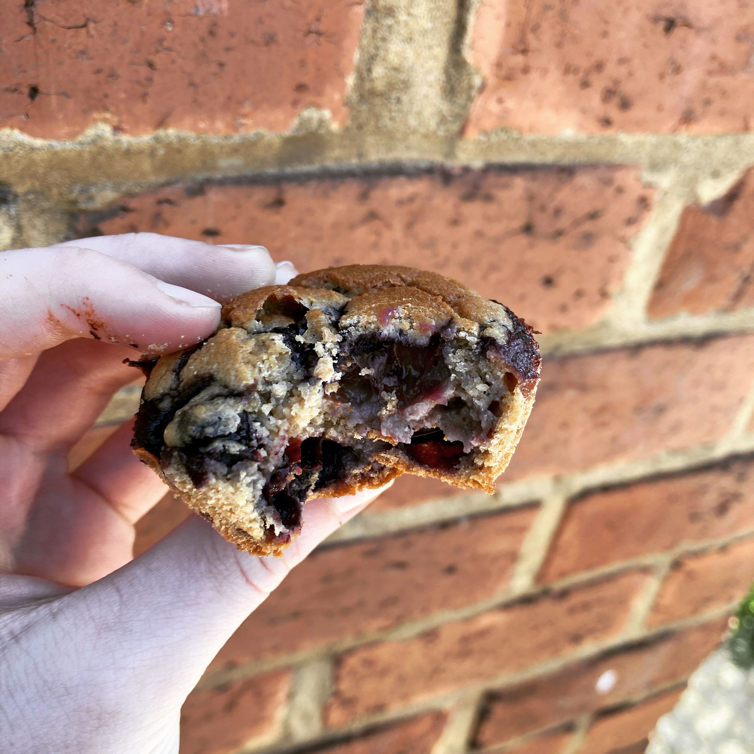 Muffins aux myrtilles